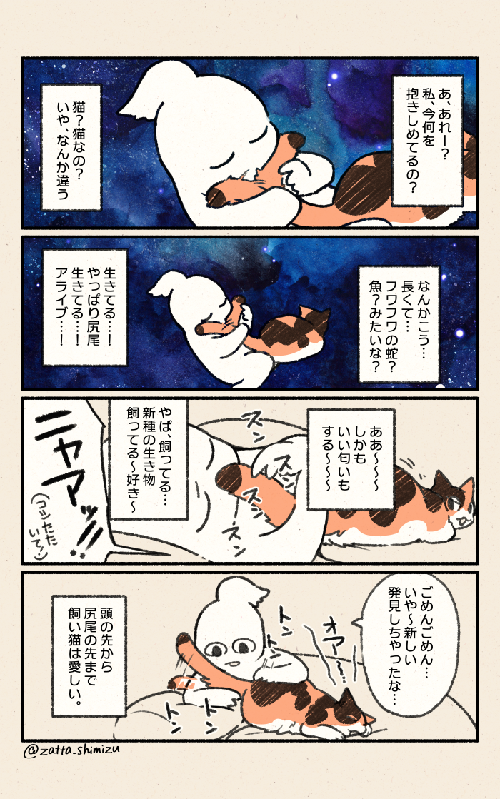 しっぽって凄い 清水めりぃのねこくつlog